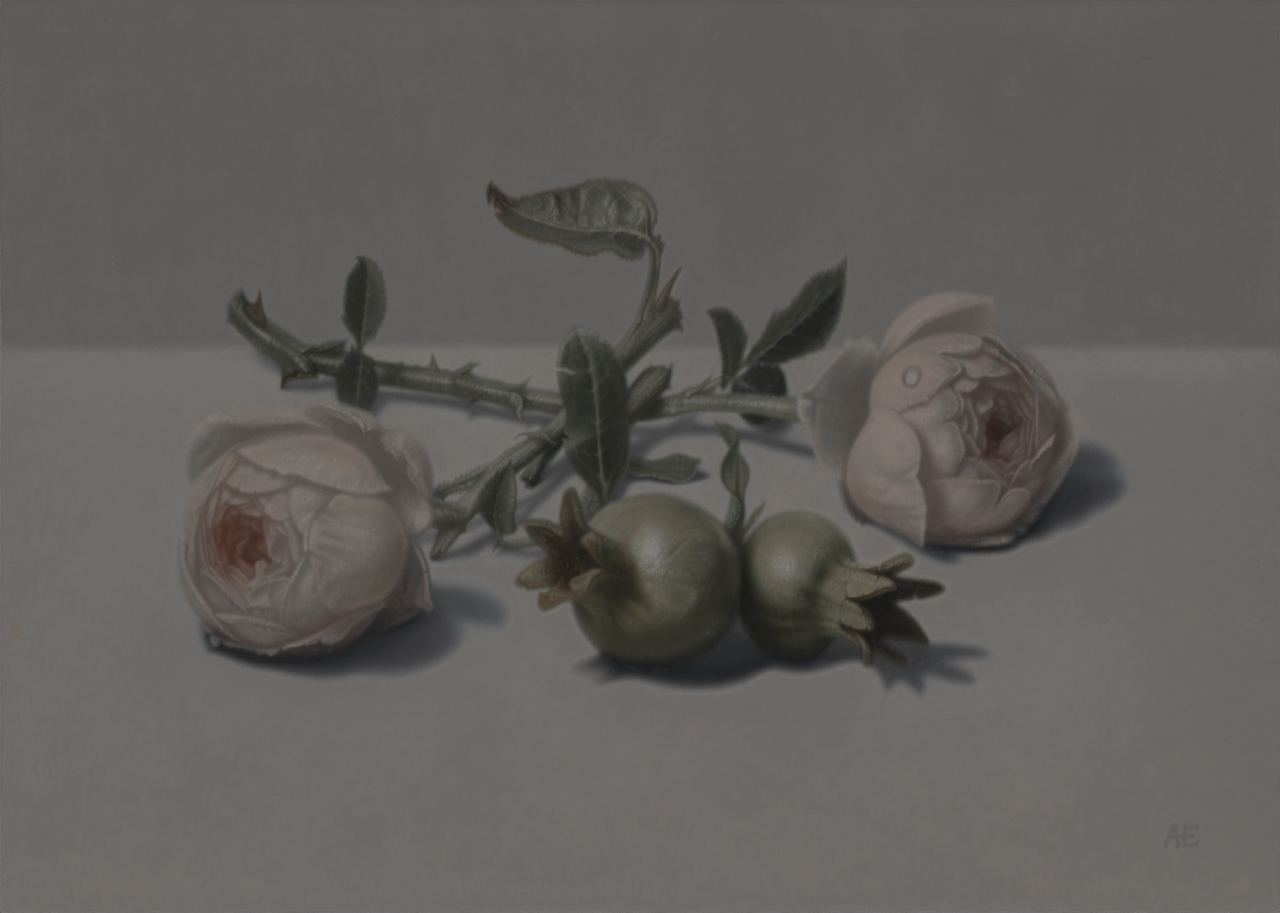 Roses_&_Pomegranates_Alex_Emsley