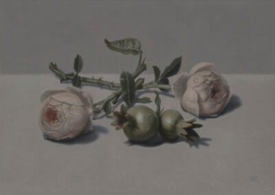 Still life oil painting of roses and pomegranates by artist Alex Emsley.